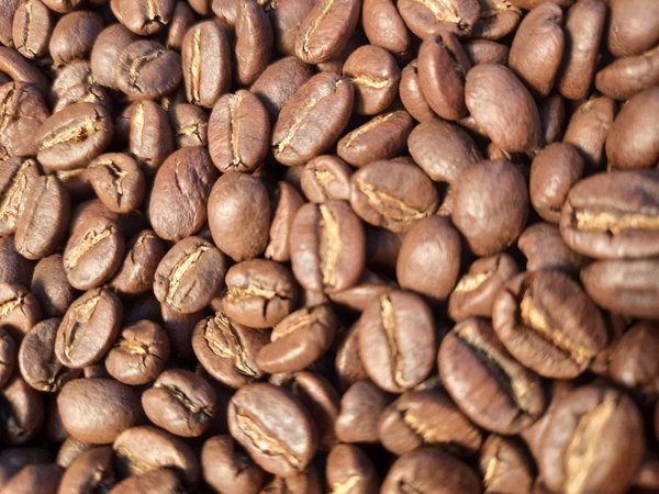 DECAFE HAPPY BABY Bio Cafe Crema 70 % Entkoffeiniert 500g