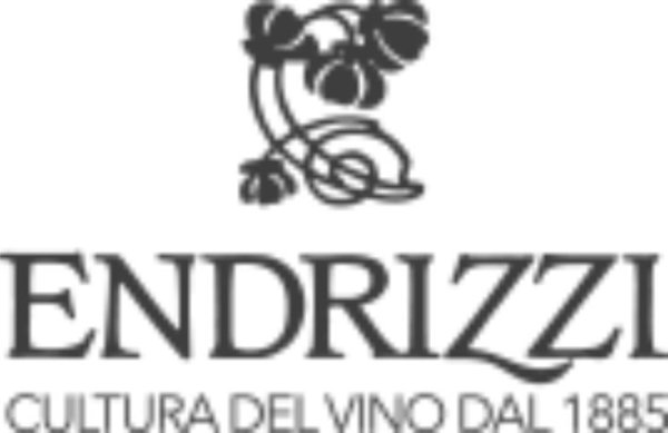 Endrizzi Trentino Pinot Grigio DOC Spengler WeinDepot